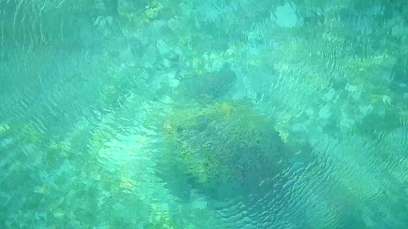 Aerial flight over crystal clear water and turtle in Malaysia, steady birds eye perspective close up