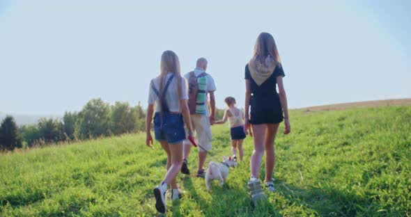 Back View of Three Young Pretty Girls Leading Jack Russel Terrier Going Far Away Walking in Hills