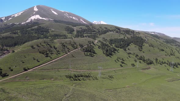 aerial green forest in nature