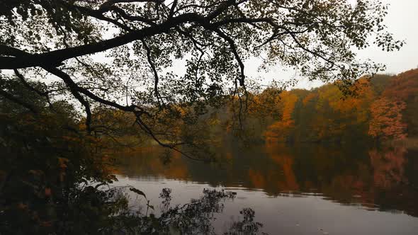 Panning over the small lake of Hjortedam, Lyngby, Copenhagen, Denmark, on a rainy autumn day