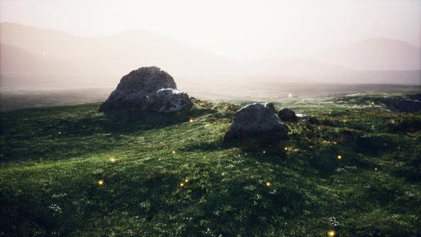 Alpine Meadow with Rocks and Green Grass