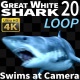 Shark 20 - VideoHive Item for Sale
