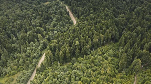 Green Pine Forest at Mountain Country Road Aerial