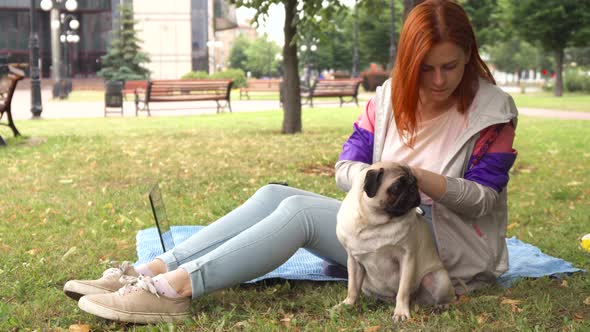 Girl Combing Her Pug Out in a Park