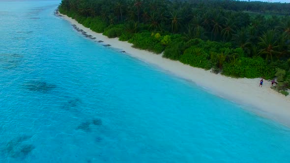 Aerial drone nature of coastline beach by clear ocean and sand background
