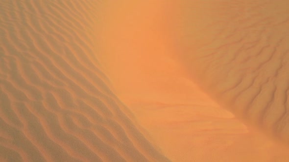 Strong Wind Blowing the Sand in the Liwa Desert in Abu Dhabi UAE