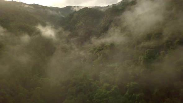 Aerial view flying thru the morning rain cloud covered tropical rain forest mountain landscape durin