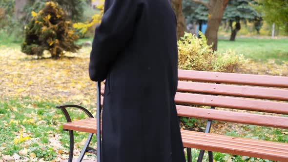 Old Grandfather on a Bench in a City Park