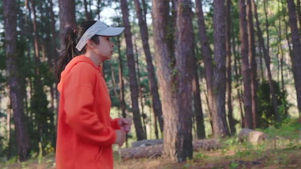 Athletic woman running on forest trail. Female runners running in nature in the morning.