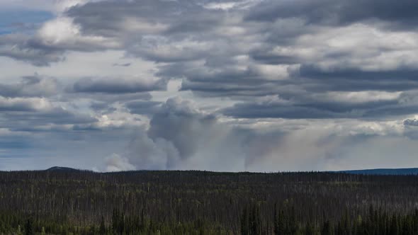 Wildfire Burning in a Forest  Time Lapse