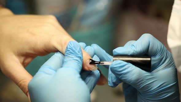 Manicurist in Blue Gloves Paints Nails. Applies Gel Polish To the Nail Plate