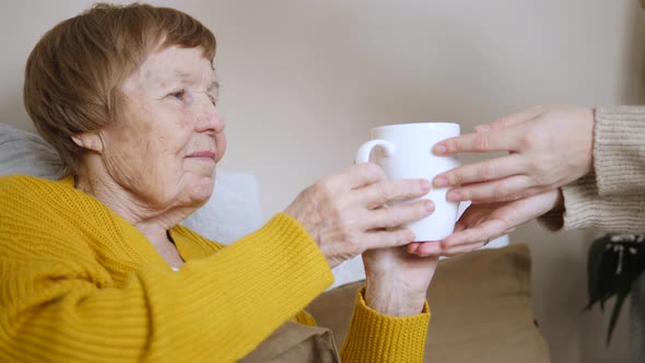 Grandmother Taking Cup From Granddaughter Hand. Close-Up