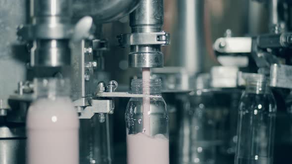 Factory Machine Fills Bottles with Yogurt. Automated Production Line at a Food Factory.