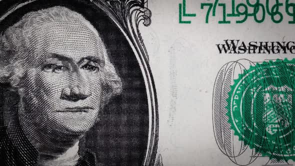 Fragments of Different Paper Dollars Change Each Other in Stop Motion Money