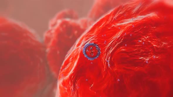 dna and cell.mov alt