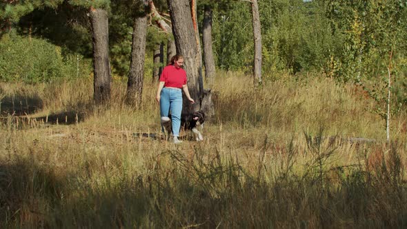 Plump Woman and Her Cute Trained Big Dog Playing Outdoors Together