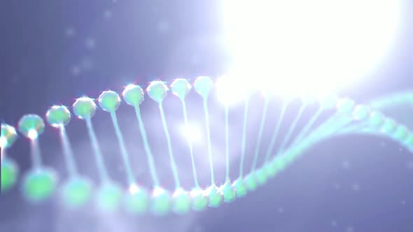 DNA double helix