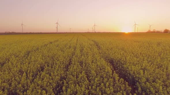 Aerial Flying Over Renewable Energy Wind Farm Wind Turbines. Sunset