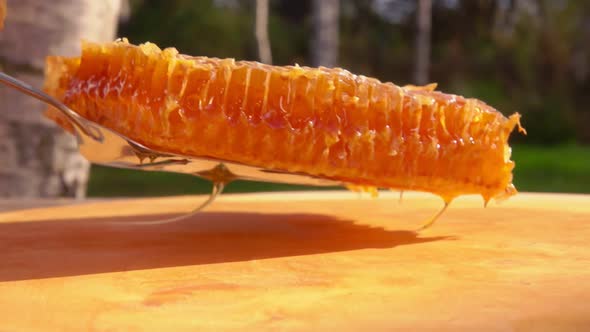 Kitchen Spatula Spreads a Piece of Honeycomb