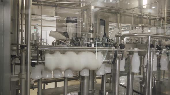 Milk Production White Plastic Bottles Transported on Conveyor Automated Production Line