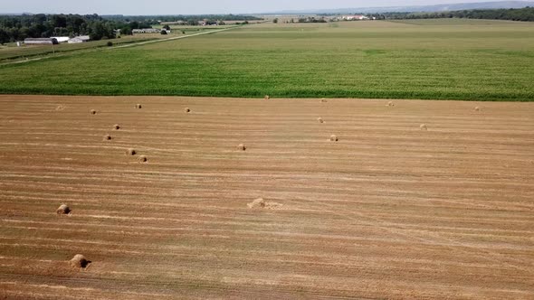 Drone Point of View Flying Over the Green Cornfield and Haystacks