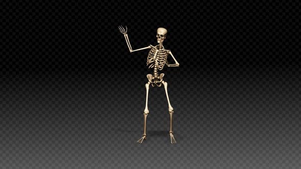 Skeleton Show Dance Happy alt