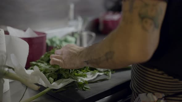 Male Chef’s Hands Sort Parsley Branches on Kitchen Counter Close View