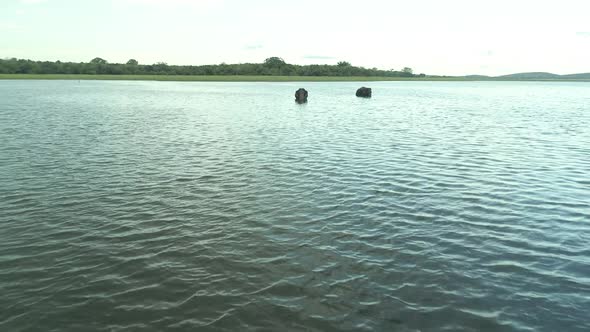 Aerial Footage Of Two Wild Elephants Relaxing In A Reservoir In Kadulla