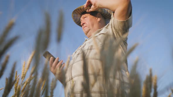 Senior Farmer Agronomist with Digital Tablet Computer in Wheat Field Using Apps and Internet