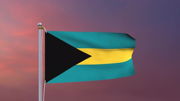 Bahamas Flag 4k