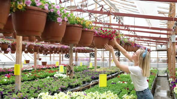 Young woman florist works in  greenhouse.