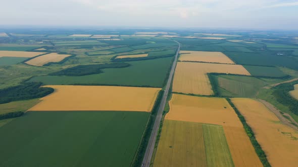 Aerial View Of Green Fields 