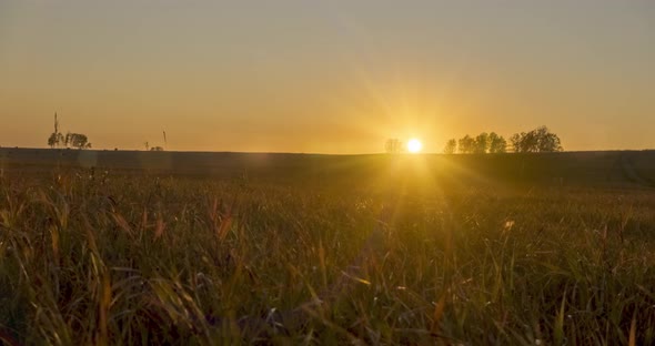 Flat Hill Meadow Timelapse at the Summer Sunset Time. Wild Nature and Rural Grass Field. Sun Rays