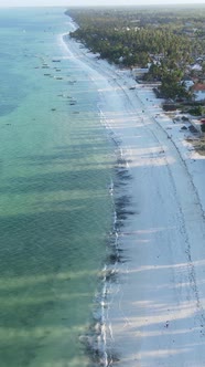 Vertical Video of the Ocean Near the Coast of Zanzibar Tanzania