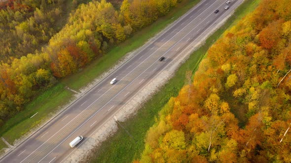 Top View of Traffic on a Highway Surrounded By Bright Autumn Forest