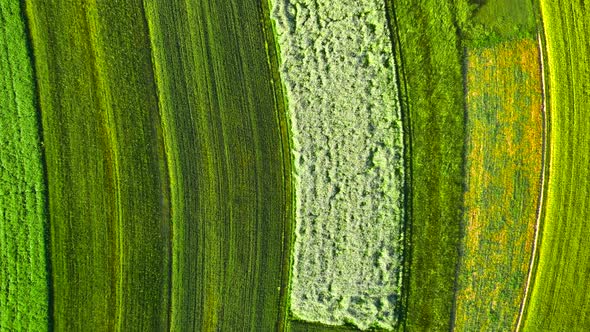 Aerial View of Decorative Ornaments of Diverse Green Fields