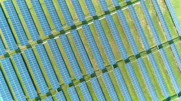 Aerial View of Solar Panels Farm (Solar Cell) with Sunlight