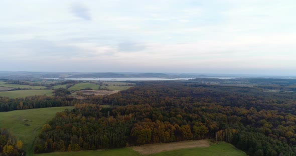 Flying Over Forest. Forest From Above