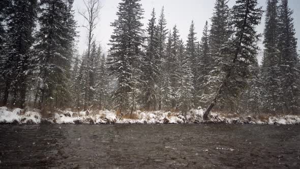 River coast covered with snow. Snowy winter park.