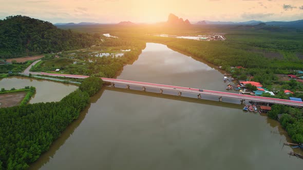 Aerial view green mangrove forest nature tropical rainforest