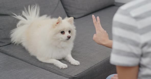 Woman train on her dog at home