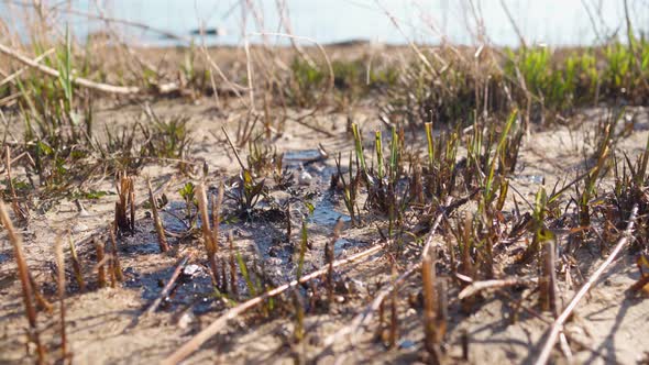 Stains Industrial Petroleum on Surface Earth Pollution Nature Toxic Chemicals