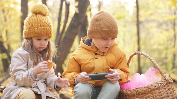 Children Spending Time Mobile Phone Forest