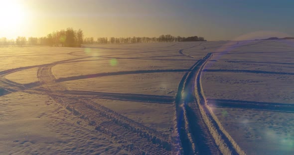 Aerial Drone View of Cold Winter Landscape with Arctic Field Trees Covered with Frost Snow and