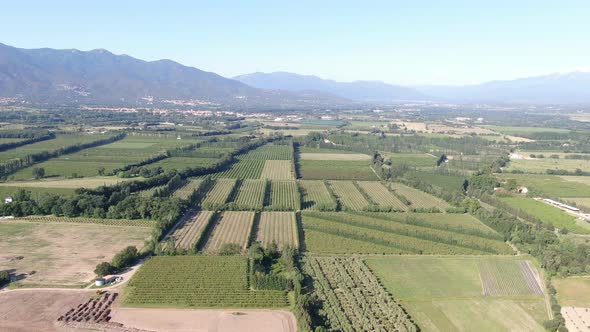 Aerial images on French orchards
