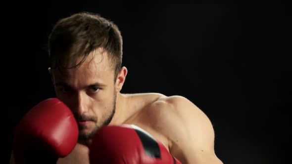 Young Boxer Fighter Over Black Background.