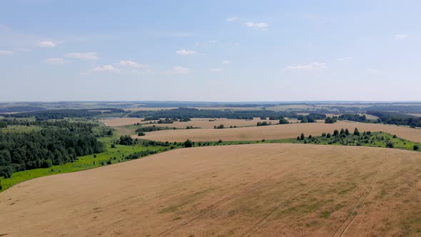 1 Agricultural Fields