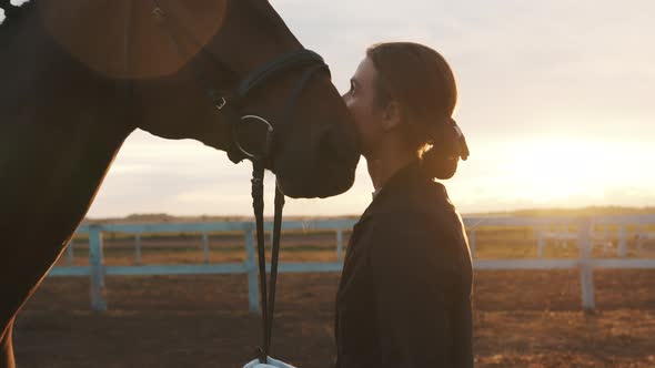 Female Horse Owner with Her Dark Bay Horse  Expressing Affection  Golden Hour