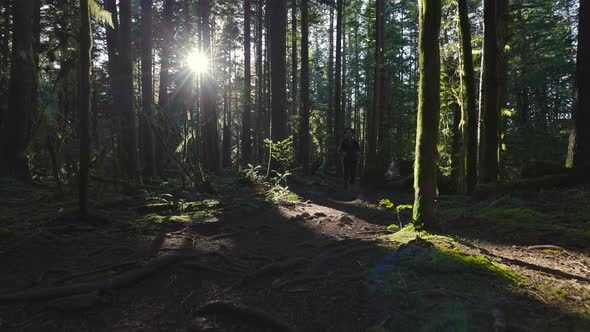 Caucasian Woman Trail Running in the Green Forest