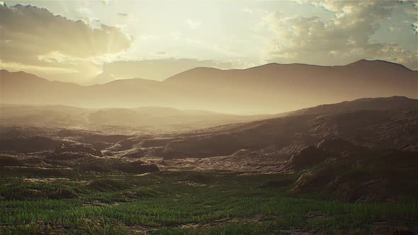 Foggy Field With Sunrise Nature Background